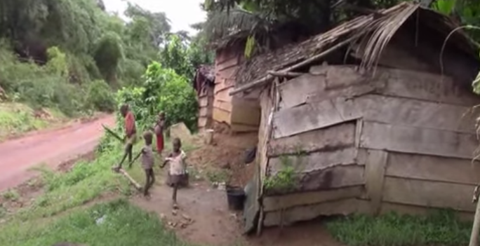 Peuples autochtones Bagyeli impactés par le projet de construction de l’axe Kribi – Ebolowa par Akom 2.